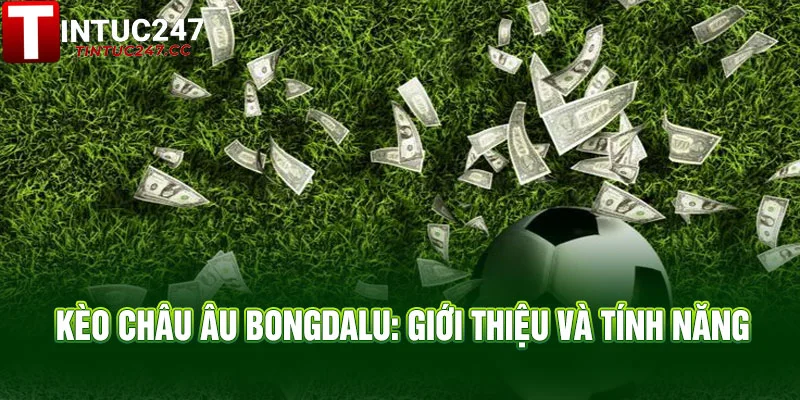 Kèo Châu Âu Bongdalu - Tỷ lệ chuẩn, thắng dễ, lãi lớn 2 Kèo Châu Âu Bongdalu: Giới thiệu và Tính năng
