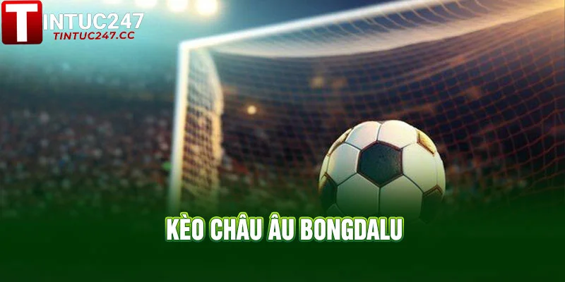 Kèo Châu Âu Bongdalu - Tỷ lệ chuẩn, thắng dễ, lãi lớn 1 3 1