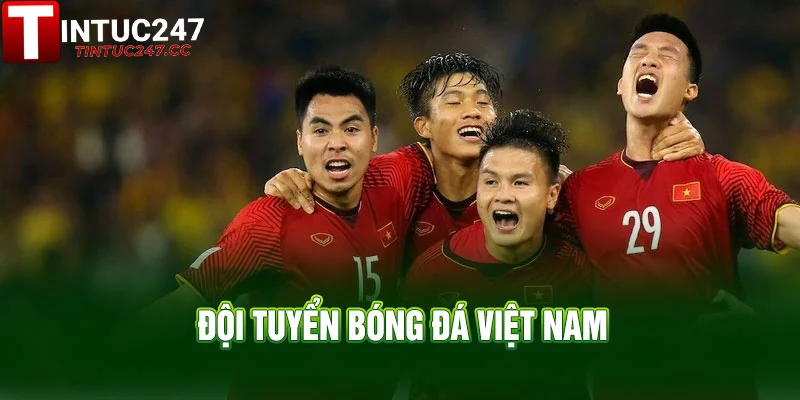 Đội Tuyển Bóng Đá Việt Nam: Lịch Sử, Thành Tựu và Phát Triển Bóng Đá Trẻ 1 3 2