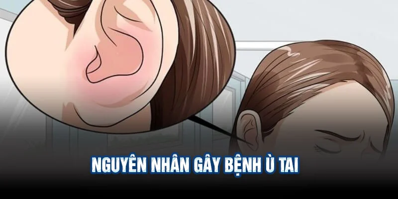 Bệnh Ù Tai Là Gì? Nguyên Nhân, Dấu Hiệu Và Cách Điều Trị Hiệu Quả 2 Nguyên nhân gây bệnh ù tai